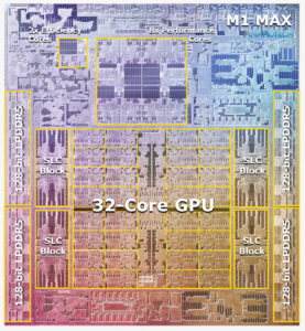 M1MAX显微图像
