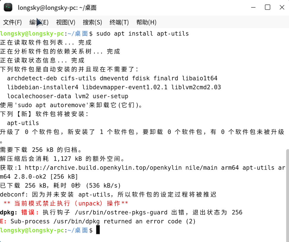安装命令执行报错